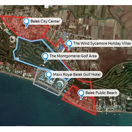 The Wind Sycamore In Vila