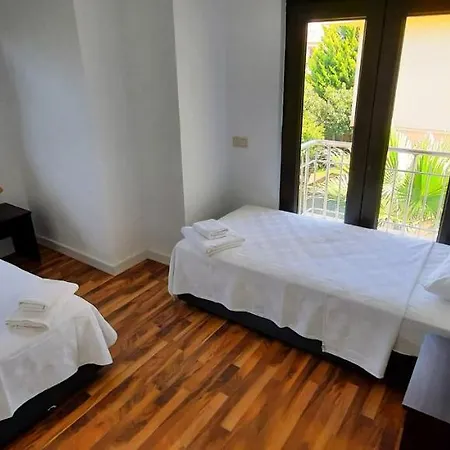 The Wind Sycamore In