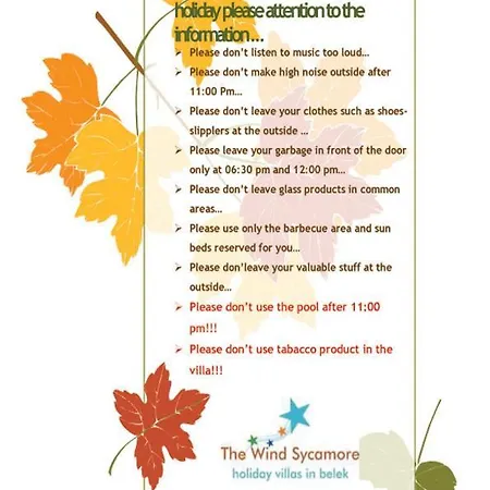 The Wind Sycamore In Vila *