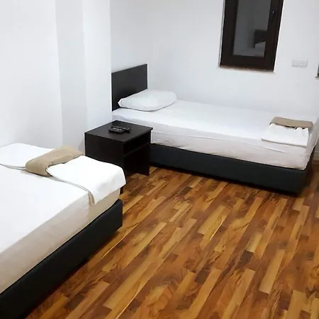 The Wind Sycamore In *