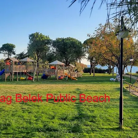 The Wind Sycamore In Vila Belek