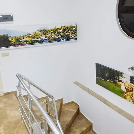 The Wind Sycamore In *