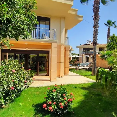 The Wind Sycamore In Villa